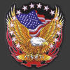 Eagle Flag and Flames
